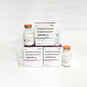 clipclav-1.2